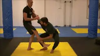 Systema Stefan Moncada Systema Pushing & Striking lisbone Portugal
