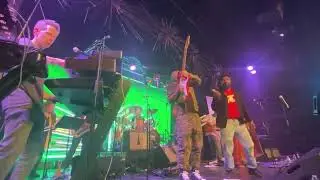 Legalized NYC Performance Recap