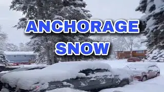 Anchorage Thick Snow/November 2023