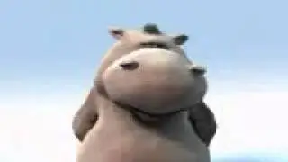 happi hippo che bestemmia