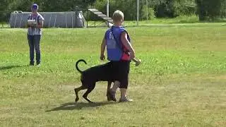 2022 IGP CACT Russia Knyazhevo 7 Smirnova Tatiana and Demon European K9 training base Doberman В89