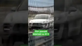 Macan versus 911