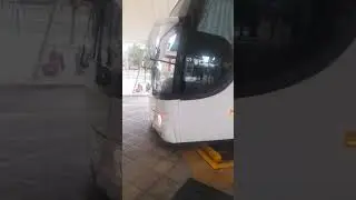 trabajado hoy calesita para tienda leon