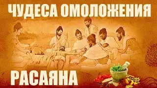 РАСАЯНА ОМОЛОЖЕНИЕ АЮРВЕДА