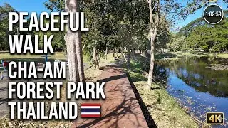 Peaceful Walk in Cha-am Forest Park, Thailand