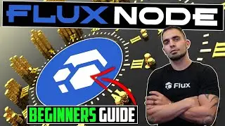 How To Start A Flux Node | Beginners Guide