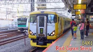 E257-500 series at Shinjuku Station, Tokyo, Japan, September 2024