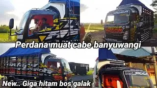 Persiapan tayang perdana‼️ New giga hitam Boss galak..
