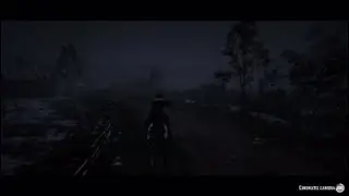 How to find collectables easily in RDR2/Easy money in Red Dead (No Glitches)