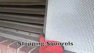 Keeping Squirrels Out of Gable Vent | Squirrel Control