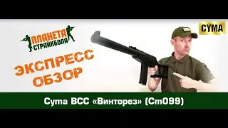 Review of the VSS 