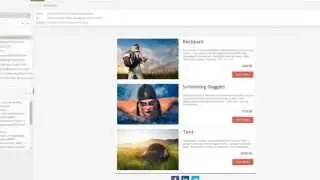 Dialog Insight's Drag and Drop templates (Dialog Insight)