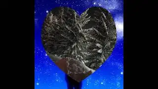 Все спешат, все бегут - от мороза в уют, только два чудака всё бредут ...
