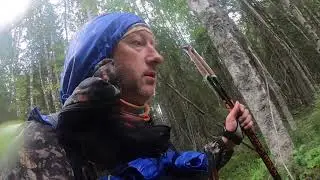 В дождь