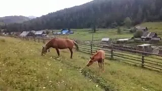 Усть-Анзас