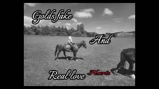 gold is fake and real love hurts