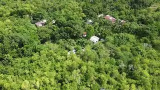 sis farm