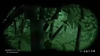 Dayz