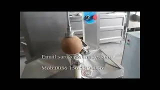 Coconut Peeling Machine