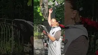 Богословское кладбище, Аня Торпеда, просвещение В.Цою