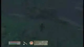 12# Oblivion Dark Brotherhood - The Renogade Shadowscale