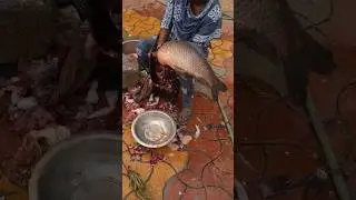 5 kg Silavati fish cutting skills, fish cutting skills