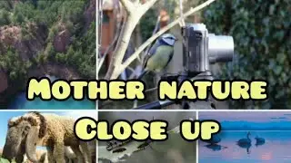 Mother Nature Close Up! including Drone shots! Educational Beautiful Photography! Please support