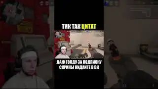 ТИК ТАК ЦИТАТ 🤩 СТАНДОФФ 2 