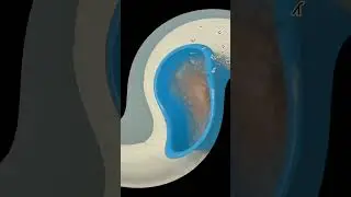 Как стать креветкой (подробный гайд)