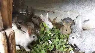 Работа по хозяйству