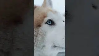 Новый выпуск уже на канале! ❤️🐋