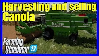Farming simulator 22 harvesting and selling Canola.