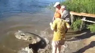 поймать рыбу гиганта