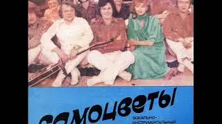 ВИА Самоцветы  Счастье непонятное моё