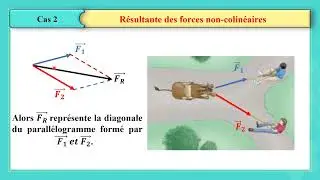 G10 phy ch 16  Résultante des forces  part2of3 FR 20 21