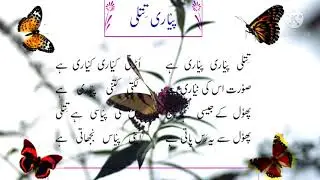 PYARI TITLI NAZAM.1ST CLASS KI NAZAM PYARI TITLI.URDU NAZAM.NAZAM.PYARI TITLI.1ST CLASS NAZAM.URDU