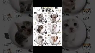 !Ребят пожалуйста не хейте это мои мнение! ИДЕЯ НЕ МОЯ #video #шортс #актив