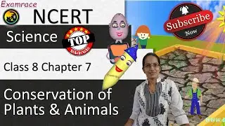 NCERT Class 8 Science Chapter 7: Conservation of Plants and Animals (NSO/NSTSE) | English