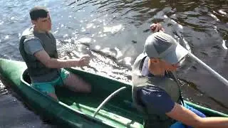Vodak 2022 SPSE Jecna 4K