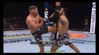 Nocaute Brutal 😱 #ufc #knockout
