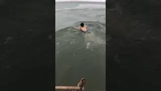 Девушки-моржи