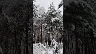 7 февраля 2024 г.
