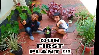 Gardening for kids 🌿| Plants for kids | My first plant