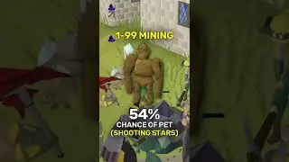 99 Mining Pet Chance 