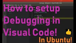 How to setup Debugging in Visual Code in Ubuntu