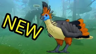 New HOATZIN on Feather Family!