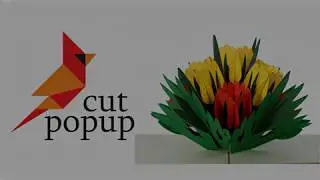 How pop up cards interesting and surprises more