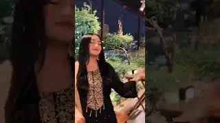 নুসরাত ও জারার অস্থির টিকটক ভিডিও না দেখলে মিস করবেন| #Shorts