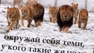 ПОЗДРАВЛЕНИЕ КОМАНДЫ 1 КАТАЛОГ 2016