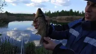 Браконьеры в Гранках 9 мая 2018